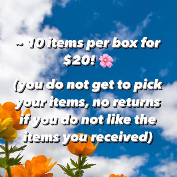 Spring Mystery Box🌸🐝 - Picture 3 of 3